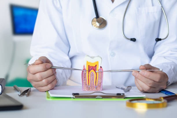 Best Emergency Dental Care for Abscessed Tooth in Draper, UT